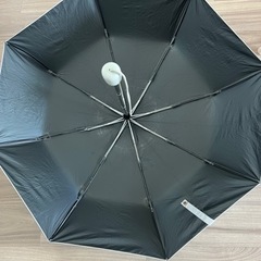 日傘　の画像