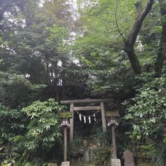 🎐青空リーディング&無料・ひめ占いモニターさん募集🎐 − 東京都