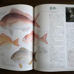 釣人　料理人に　魚大全　図鑑　の画像