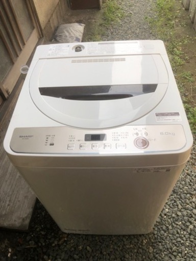 家電 生活家電 洗濯機　シャップ　6kg 年2020