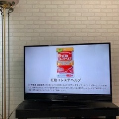 家電 テレビ 液晶テレビ