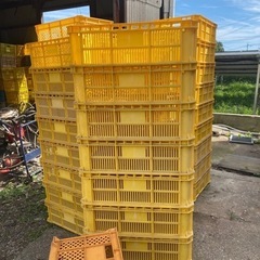 収穫カゴ　カゴ　収納
