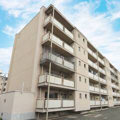 📌保証会社の審査なし🌸敷金礼金０円🌸仲介手数料０円🌸フリーレント...