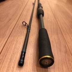 ダイワ エメラルダス EX AGS88L/M-SMT エギング