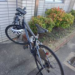 ジャイアント・エスケープ・クロスバイク販売