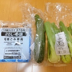 【決まりました】