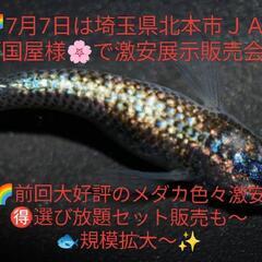 来週まで取り引き場所はローソン金井沢店🟦🏪🌷はるいろめだか🌷1日...