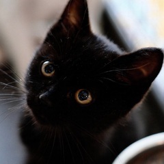 エトワール♡家族ができました