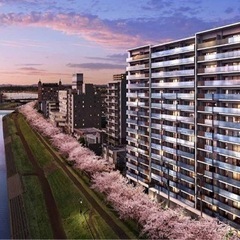 急募！！！！日払い、即日勤務開始！