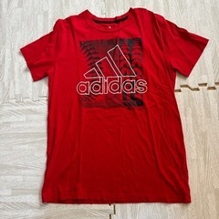 服/ファッション Tシャツ メンズ