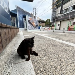 米子市引越し　遊び仲間