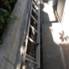 ２連梯子　０円でお譲りしますの画像