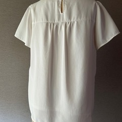 レディース　ブラウス（半袖）の画像