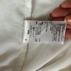 レディース　ブラウス（半袖）の画像