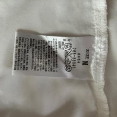 レディース　ブラウス（半袖）の画像