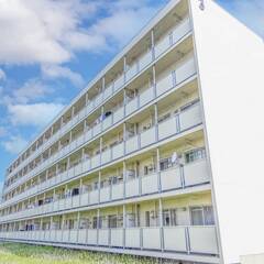 📌保証会社の審査なし🌸敷金礼金０円🌸仲介手数料０円🌸フリーレント...