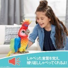 ロッカトゥ　ショーバード　箱あり