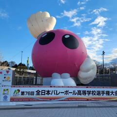 鎌ヶ谷排球部🏐