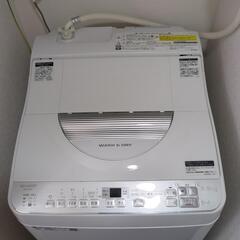 家電 生活家電 タテ型洗濯乾燥機の画像