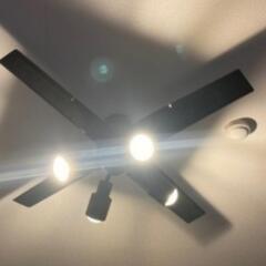 家具 照明器具