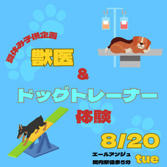夏休み自由研究に！獣医＆ドッグトレーナーお仕事体験♫