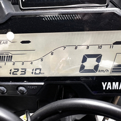 YAMAHA ヤマハ YZF-R15 V3 インド仕様 の画像