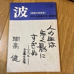 古雑誌　「波」