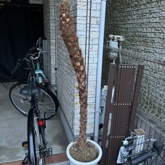 全てジャンク品の画像