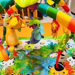 Fisher Price フィッシャープライス レインフォレスト・デラックスジムの画像