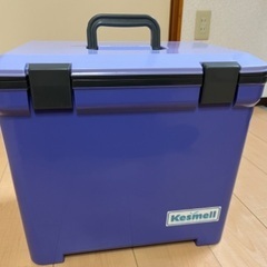 【格安】クーラーボックス 25L