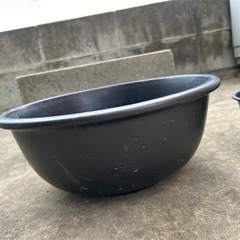 生活雑貨 家庭用品 ガーデニングの画像