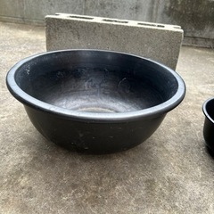 生活雑貨 家庭用品 ガーデニングの画像