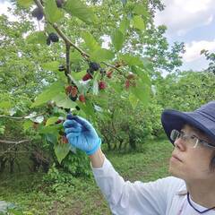 あなたの力を最大限に。食品販売営業スタッフ