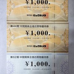 ビックカメラ優待券 3000円分 2024/11/30期限