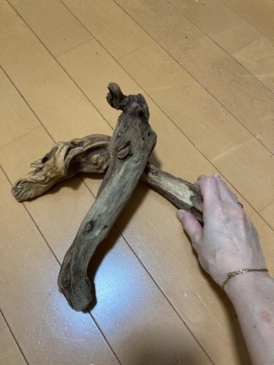 流木