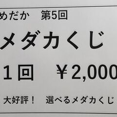★近松めだか（第5回メダカくじ！）
