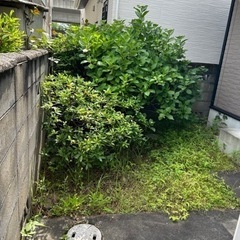 ご自宅のお庭　草むしり