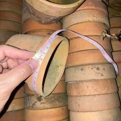 植木鉢　無料　差し上げますの画像