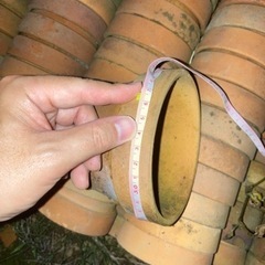 植木鉢　無料　差し上げますの画像