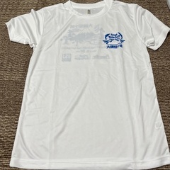 男女兼用Mサイズ　ポリエステル　記念ティシャツ