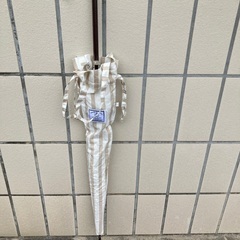 日傘の画像