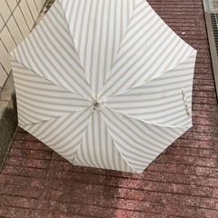 日傘の画像