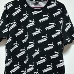 メンズTシャツXLの画像