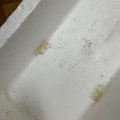 携帯電話/スマホ 携帯アクセサリーの画像