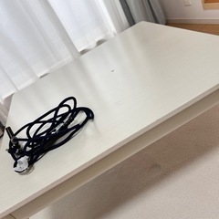 こたつ