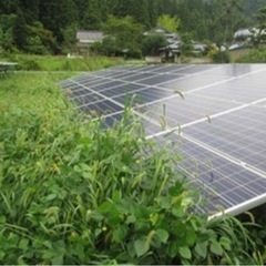 太陽光発電所敷地草刈り