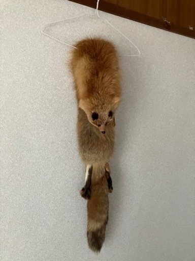 お値下げ　狐襟巻き