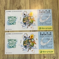 三井グリーンランド入場券大人2枚　