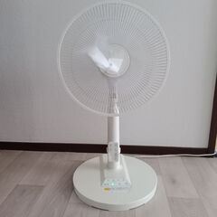 2018年製30㎝　DCモーター　リビング扇風機