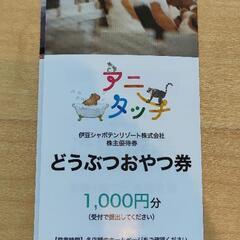 チケット